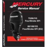 Mercury EFI 80